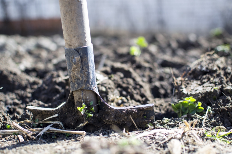 jardinerie-ST JEANNET-min_equipment-2047314